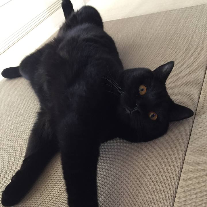 2a81c572 92e0 4577 8659 58b90781cd36