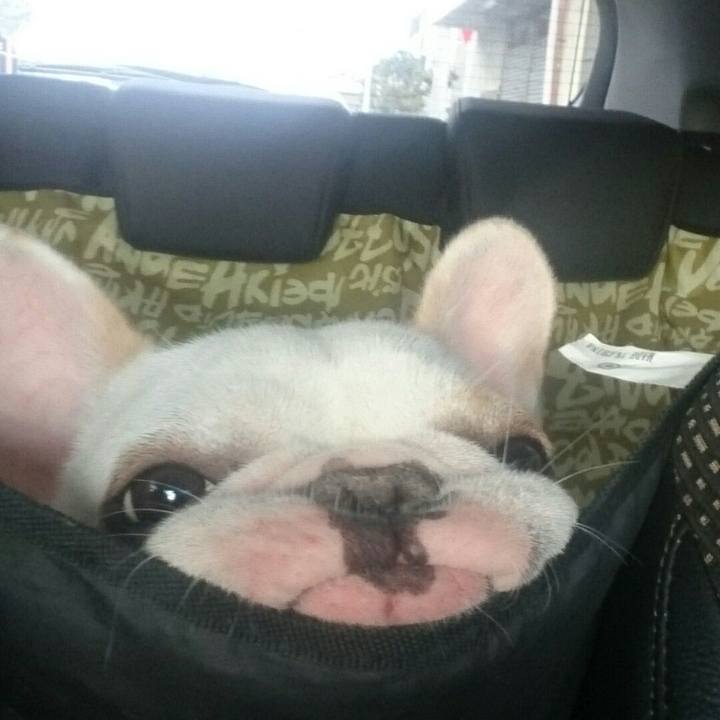 2a8219c1 ee7e 4b9e b4df 69be0182451f