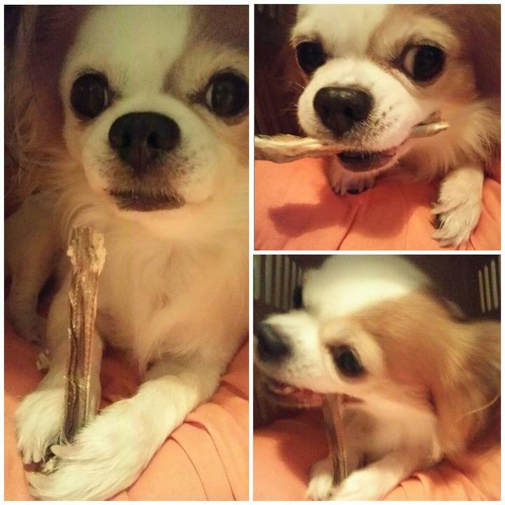 2a821f18 e50b 4d52 bd46 c157b1405ff7