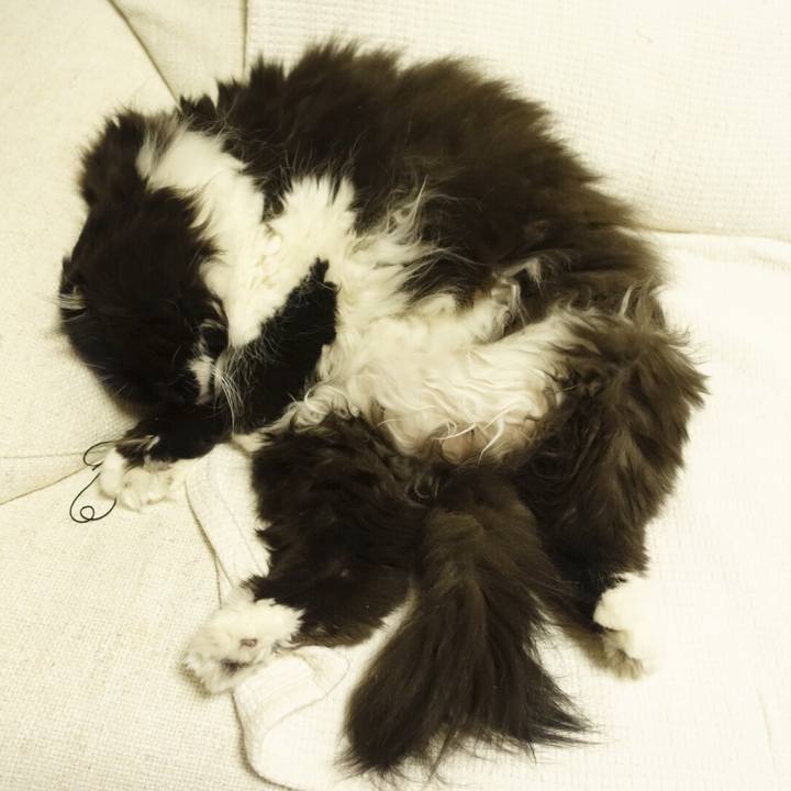 2a82f20c c807 4276 81aa b598bc45331c