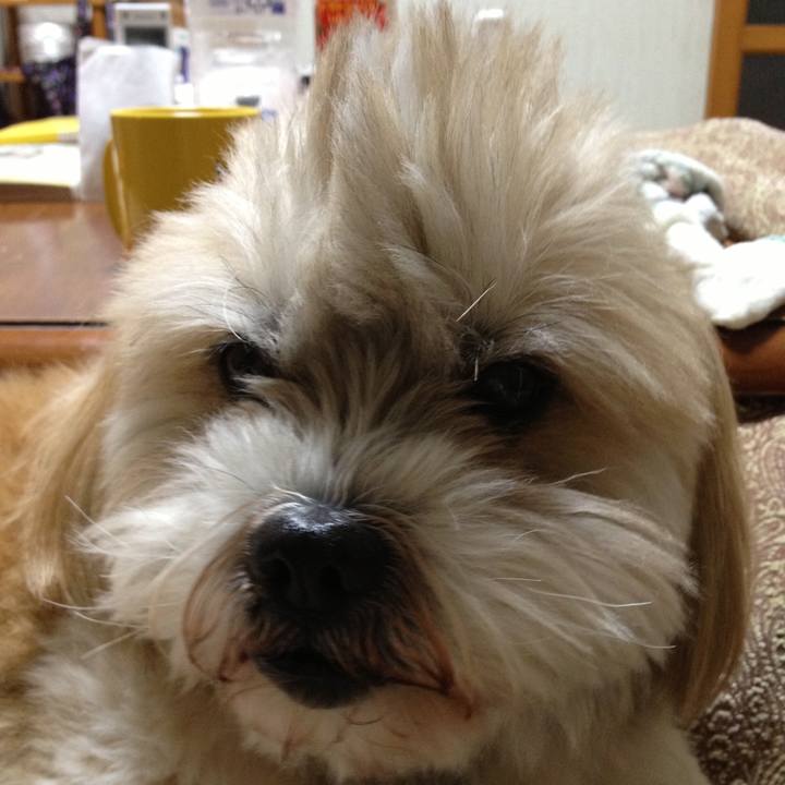 2a82f78d 3581 4175 bbd7 2e7b0aef1ce9