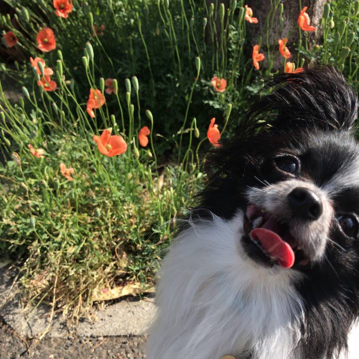 2a83a161 958e 44db 843b 015aec647c39