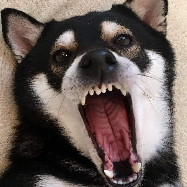 2a83b90e 3b81 4a4b 813e 3bfb61de43f3