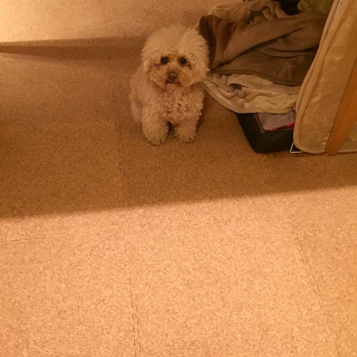 2a83e569 7818 4b52 a9b8 01f366e12da9