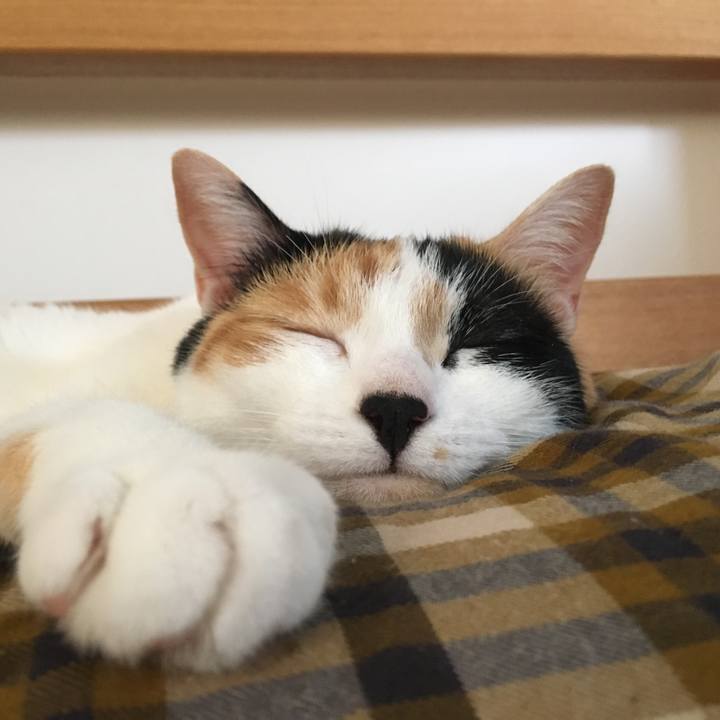 2a83f0dd fc4a 40d1 b696 34629996a6a7