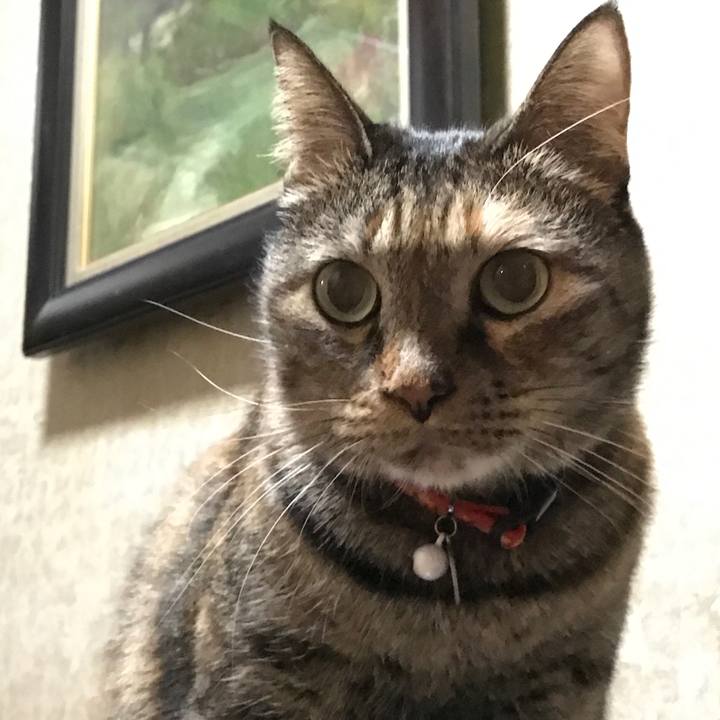 2a83f570 1cb4 47a3 bf58 f1ae2012c9ca