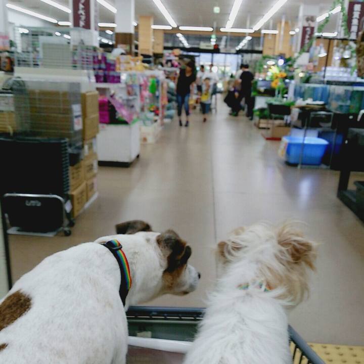 2a83fb14 1bb1 4e04 b536 50e20951689a