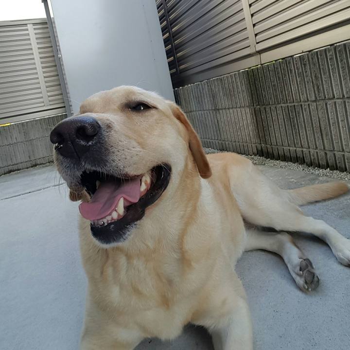 2a84d4ae 4634 4e7f 9197 b77409256fe8