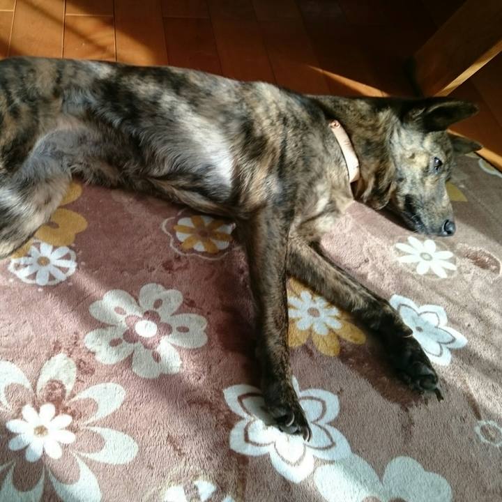 2a8585ed 91a0 4b07 9af7 b5e2553de787