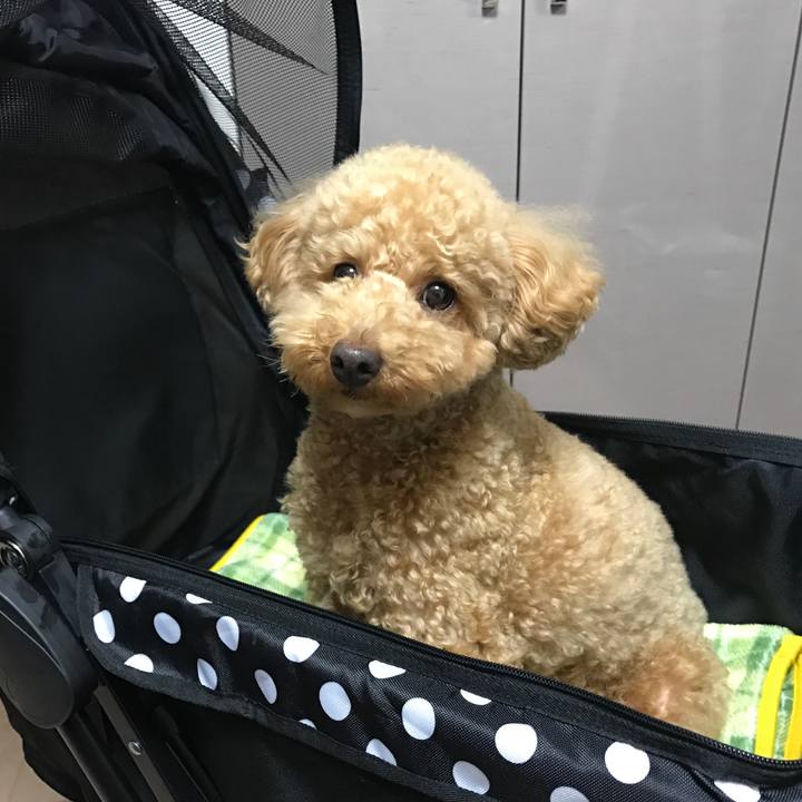 2a86117b 6a51 421c 944c 6eda206fe7e5