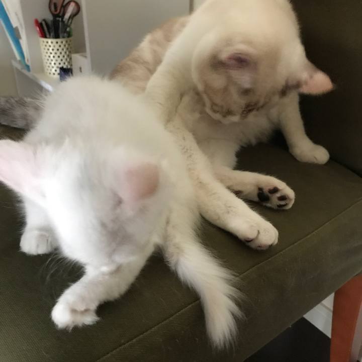 2a861f38 4f39 4eb7 b213 50aa5f7cb62f