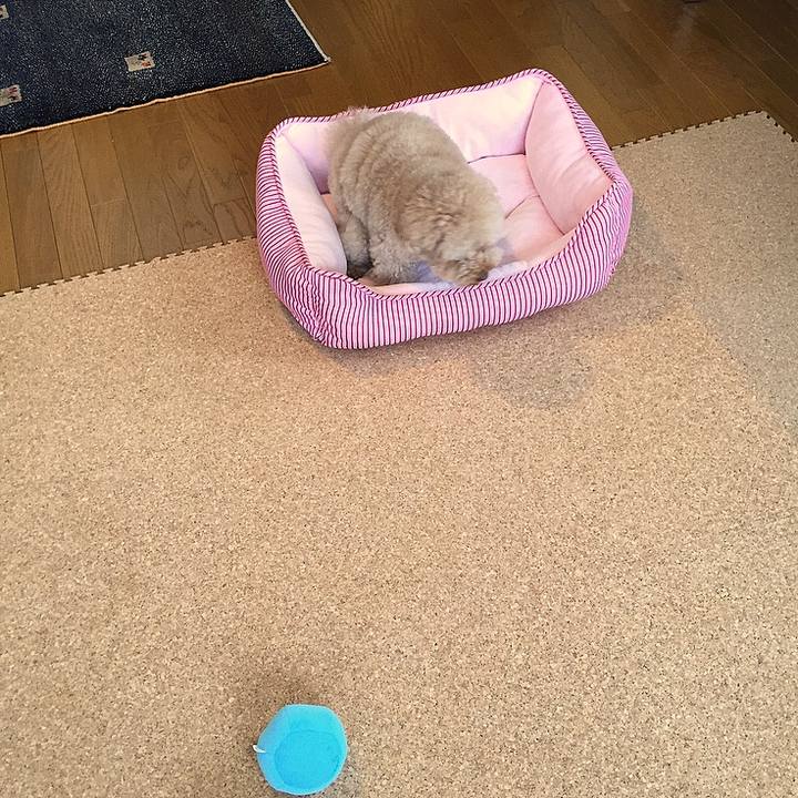 2a86ae66 25d0 4888 a302 80d1e7809bdd