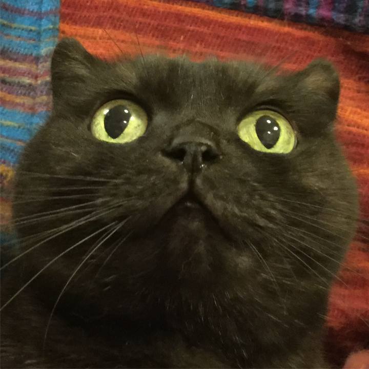 2a86b01e ce9c 47a4 97f1 d3f6d5d5d760