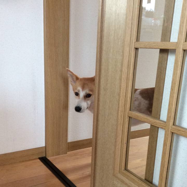 2a87095e 2ad6 48d0 8a0d 8594ecb3f271