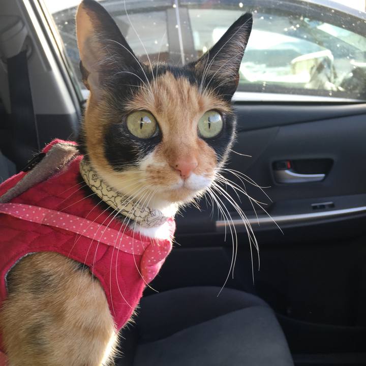 2a8756a3 3762 47f2 9124 8dcf6a46c1a4