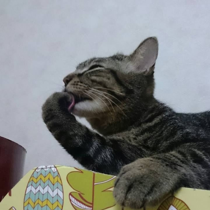 2a87bbae 49b8 4d41 b457 f8306b3d182d