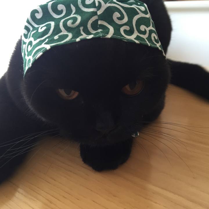 2a8839ba 99cd 4582 a792 94de33929d84