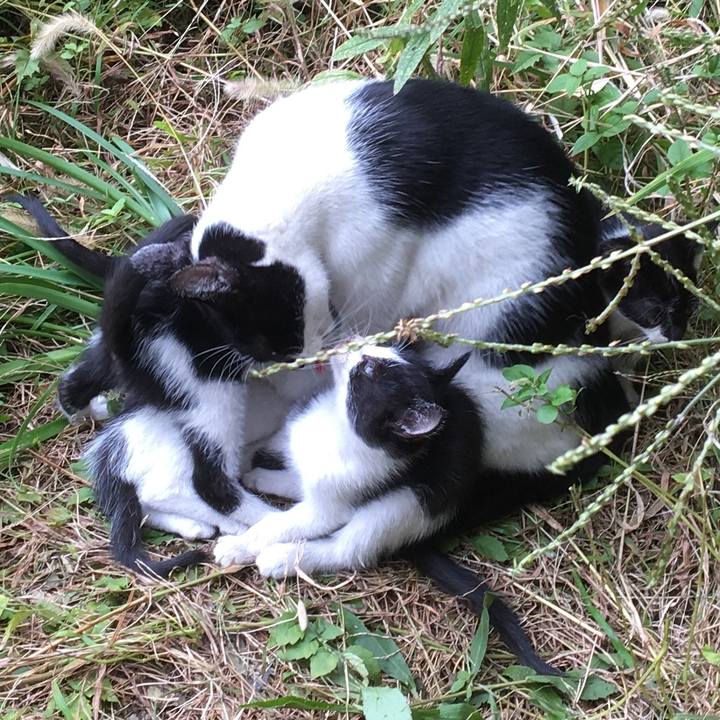 2a885dc4 5aa3 4b26 98a3 d1b8af7c12e3