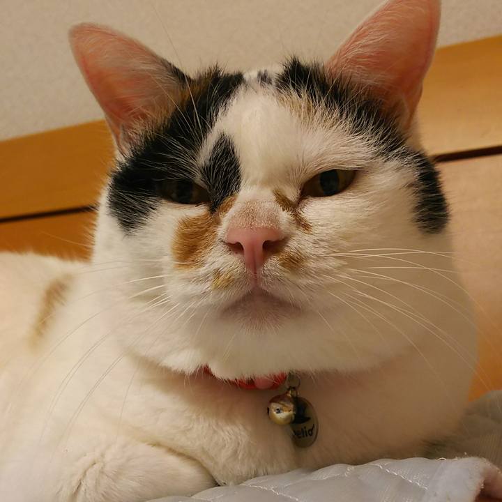 2a88b59d d3b4 400e 95a2 8df5930b4e53