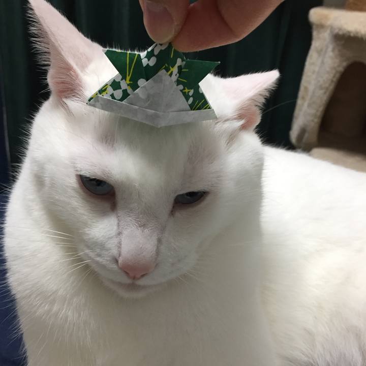 2a896151 e9aa 47a1 8c1a 959f2706211c