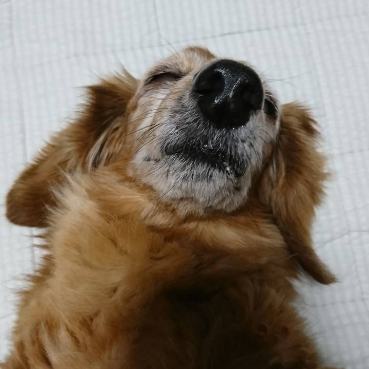 2a896353 97df 4cd4 b03e 6c81ee2e62d3