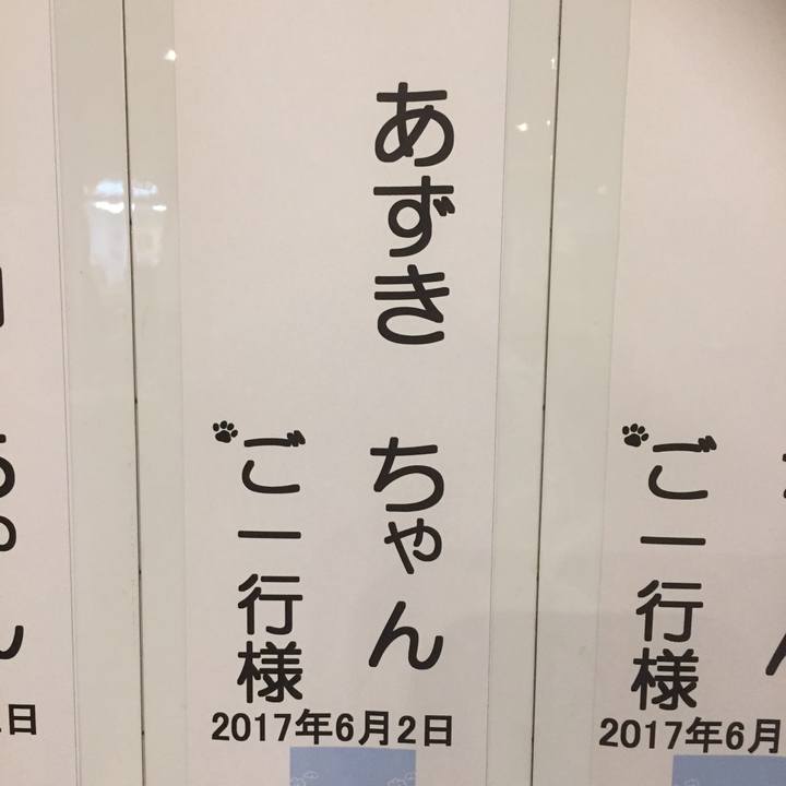 2a89fc8f 5557 49b3 bf1c 9241ed1b3138