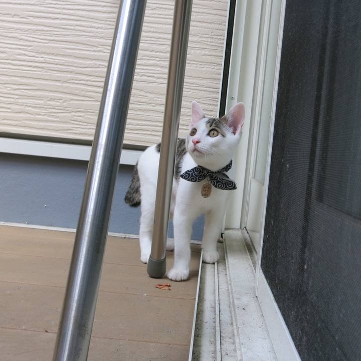 2a8a046c d97a 4933 b2db 9f548e7c1845