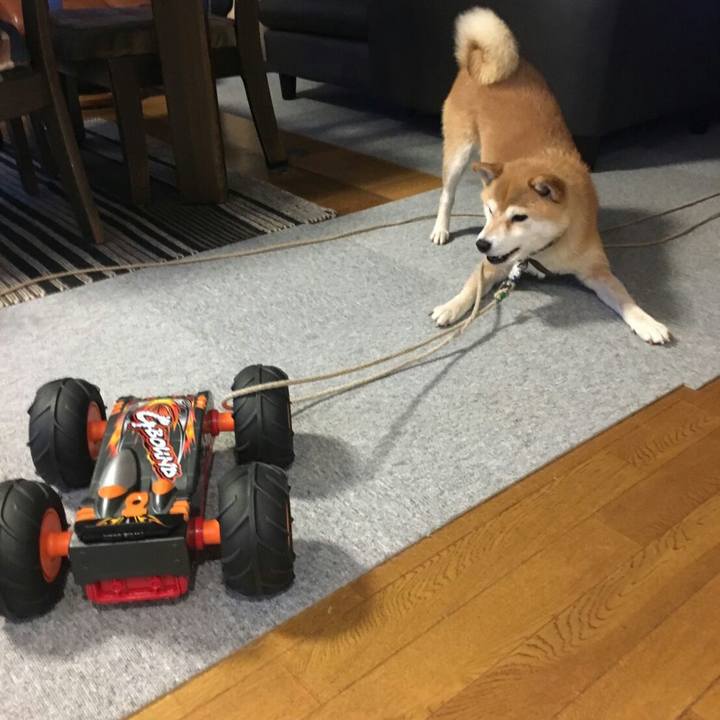 2a8a864e 4458 4bbf a0c7 ad870061247a