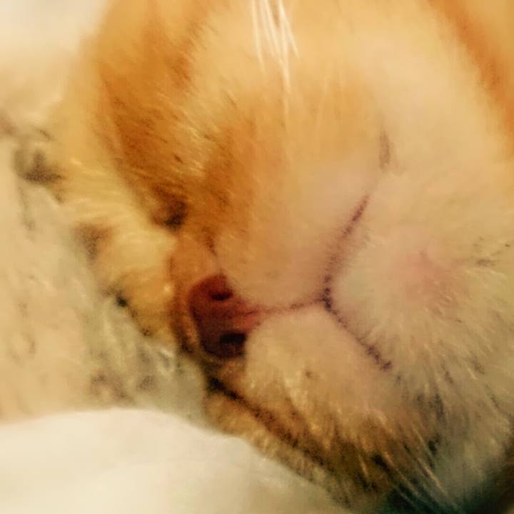 2a8b3785 3e6c 4bbc 8555 ff622f73a836