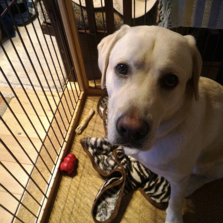 2a8b46c1 f631 40b5 a81c 5ed0d09f09b4