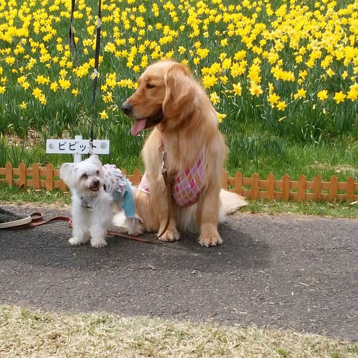 2a8c814f dccc 4c2c 847c 00e59c3229b9