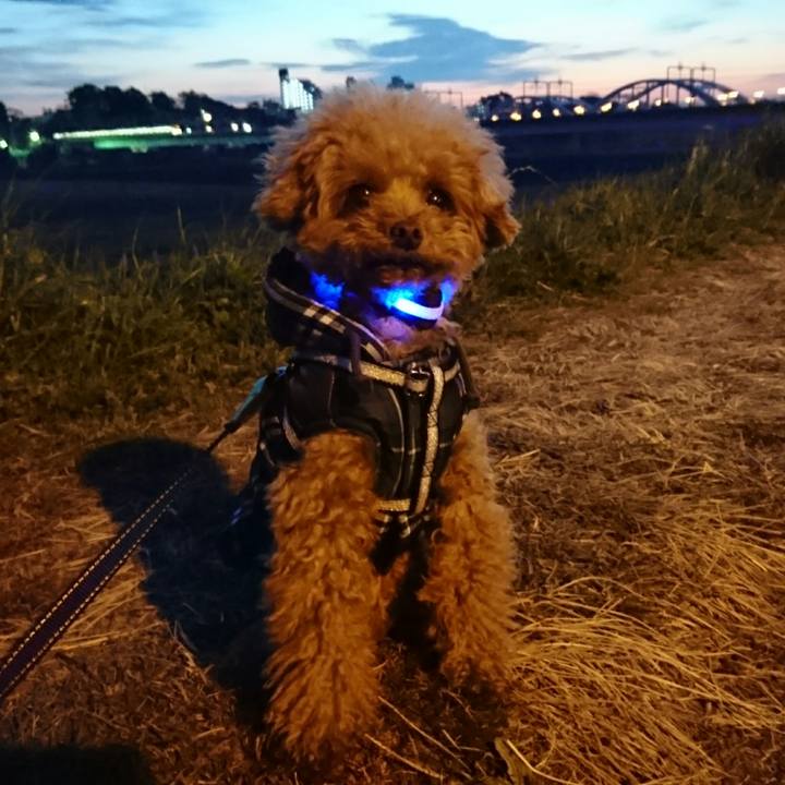 2a8db538 abd2 4668 86e3 2707a431f805