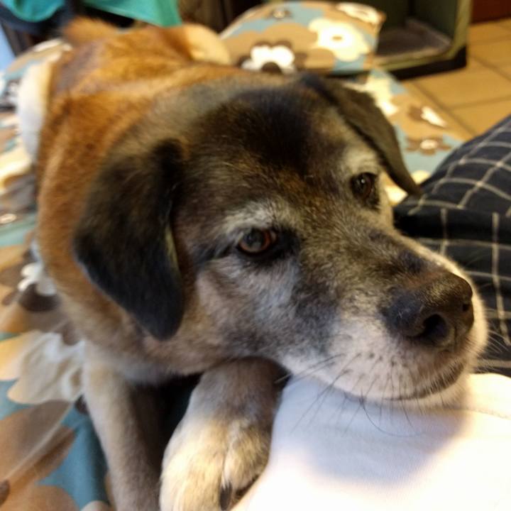 2a8e149a 236f 4584 8d1e 079db59613e8