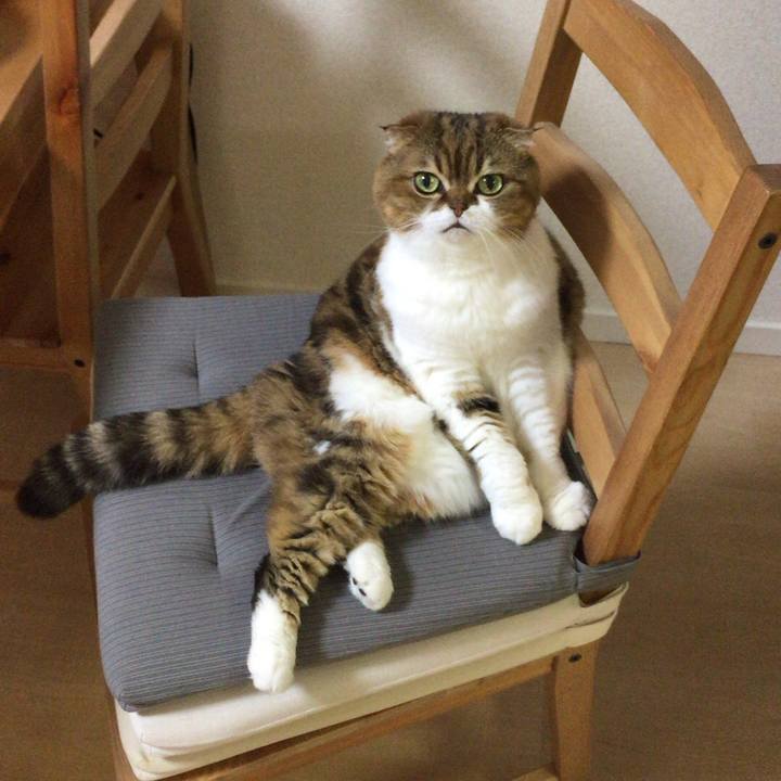 2a8e7480 8b16 47bf bf50 2c400081de02