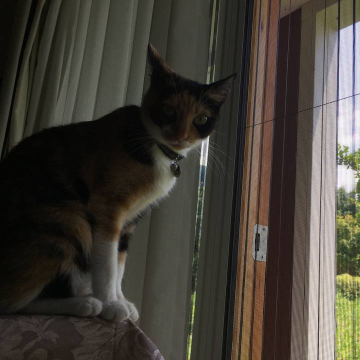 2a8f140f f2a2 4a46 a43d 9130ccd4c4a2