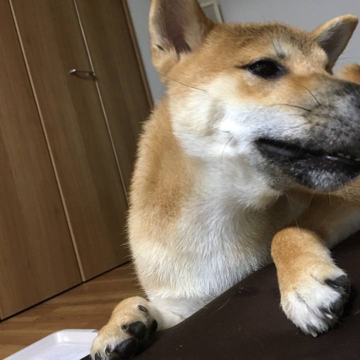 2a8f2ed2 a02c 401e b9df 44f385738a01