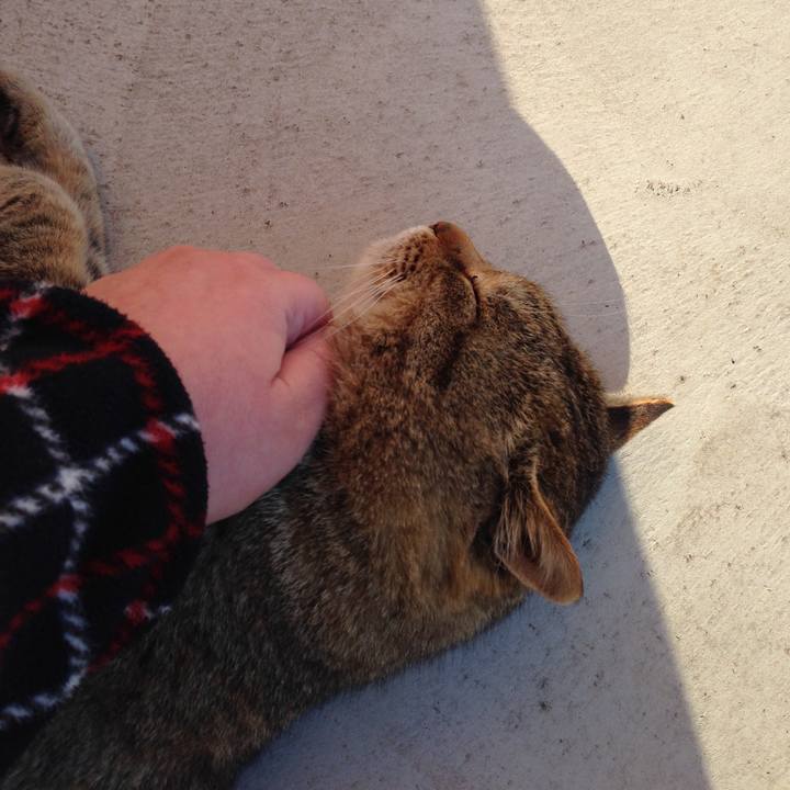 2a8f8404 cc07 4b21 9910 43e992150097