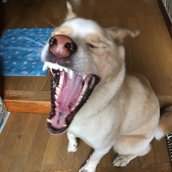 2a8fcca7 5297 42c1 b1a2 6687f82917e0