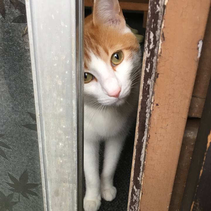 2a900573 3e01 4826 866c c8c5f3c1b519