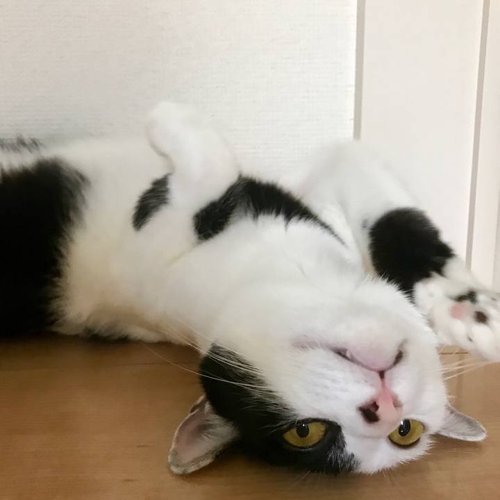 2a9023e0 f7c2 4e11 b9a2 f9b6aee33b0d