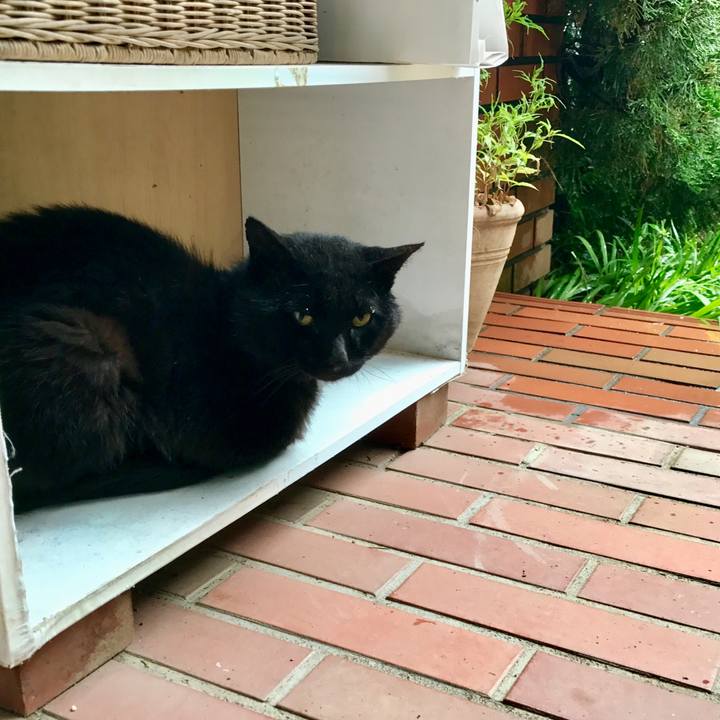 2a903cd5 a40a 4e2d b3c7 b1b248aa5cd8