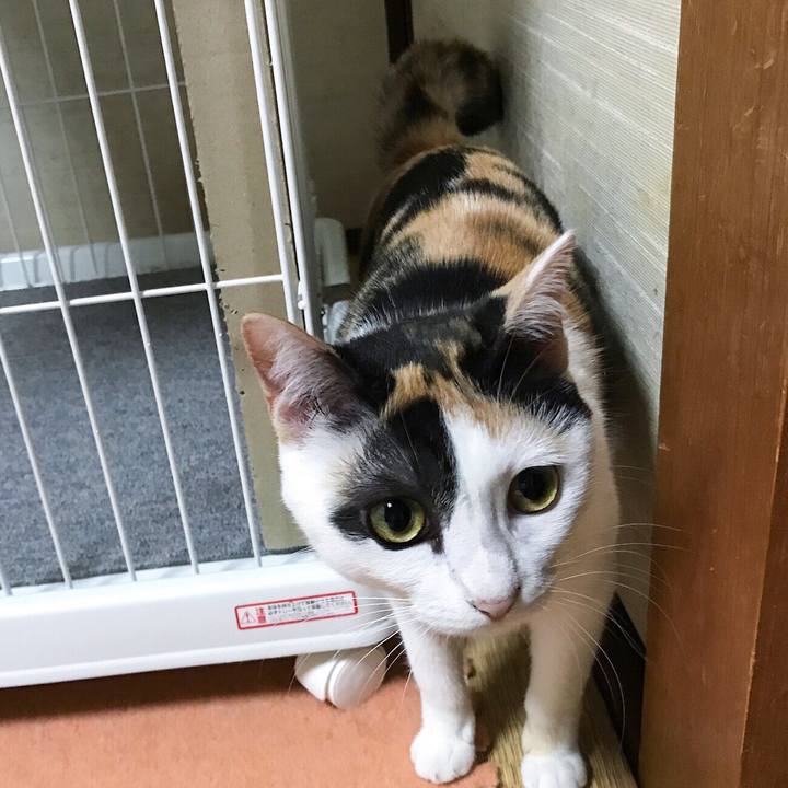 2a912c50 45b6 4490 9c31 fe0f72e7b23a