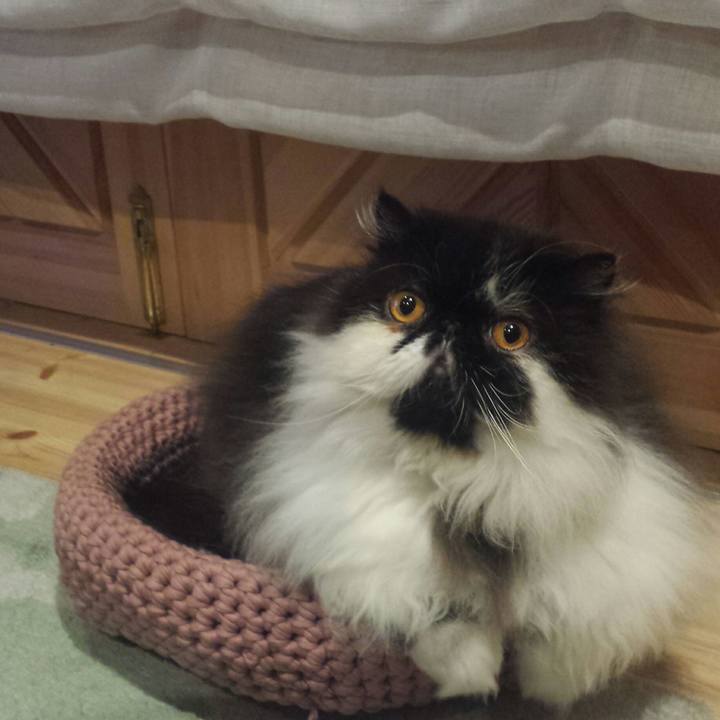 2a91b461 0b3a 4d2f 9fd4 7203473f09ce