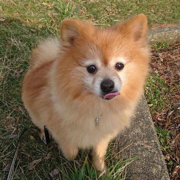 2a91f2f7 4ac7 4ce0 bd00 68d5ab2f1b7c