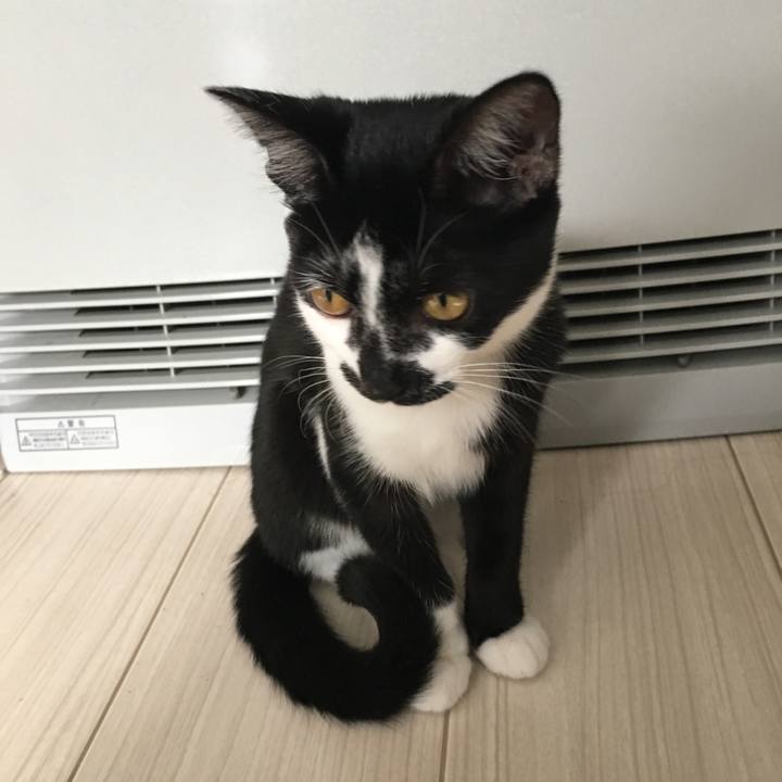 2a92df0c f667 4033 bfd3 81dbd12ba683