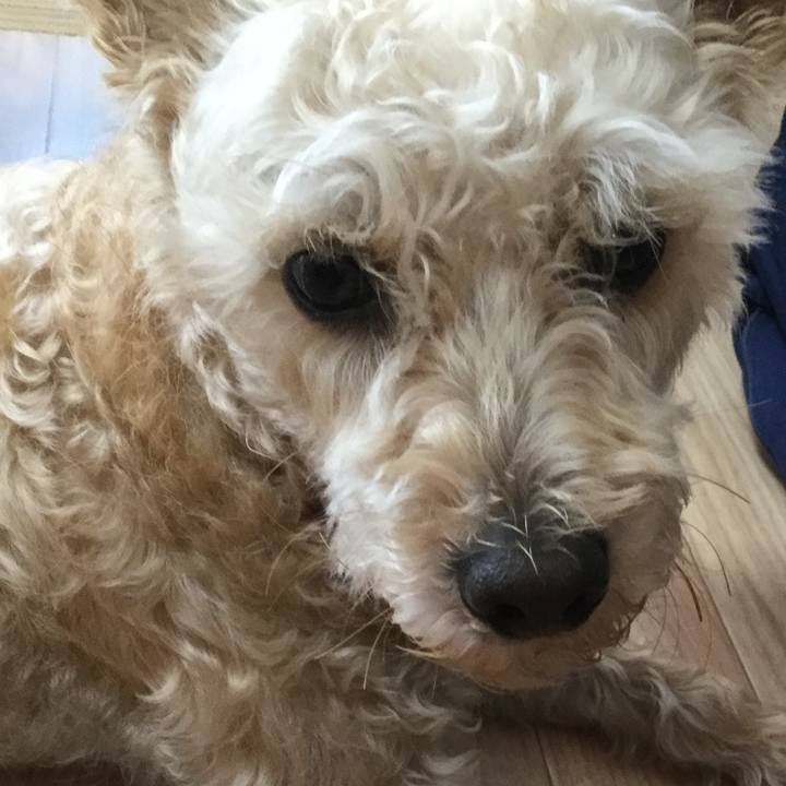 2a931b88 f131 48fa 85ff d23a07e1488f