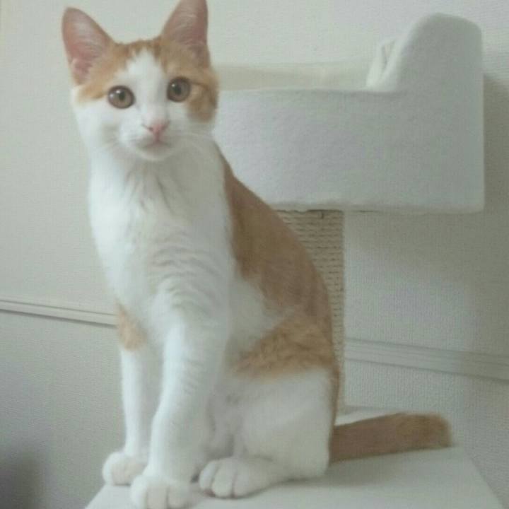 2a93ab40 5cbb 4a43 a6c7 61034bdb666d