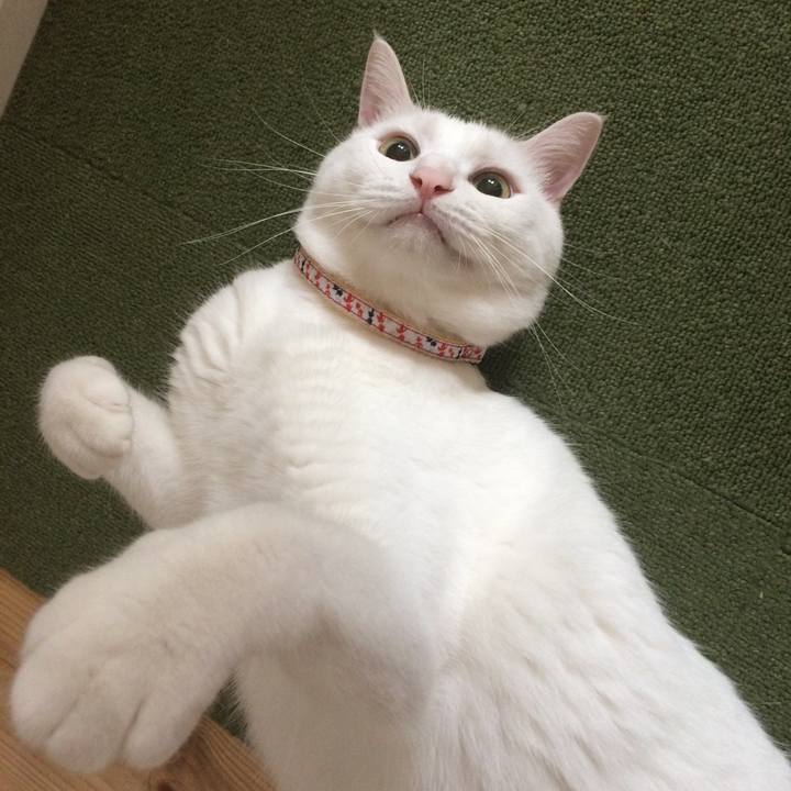 2a93af06 3535 41b9 882a a3487efdb73c