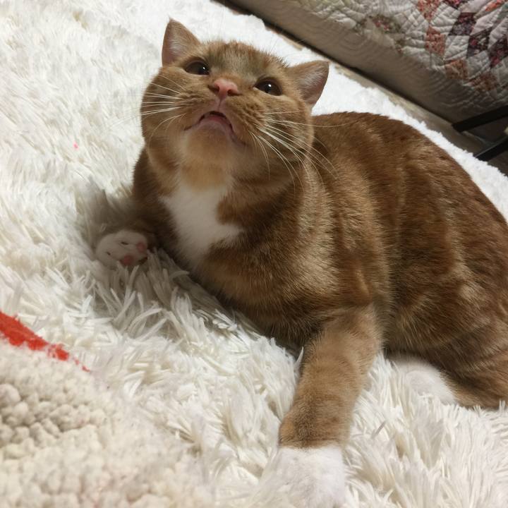 2a953a8e 3eea 489a bda3 c35b73d28fa9