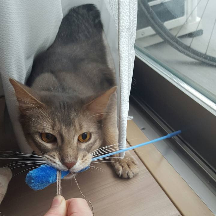 2a954691 872c 4d34 af94 17d6aa9e85cc